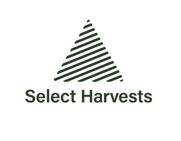 Dark green solid background with no objects.